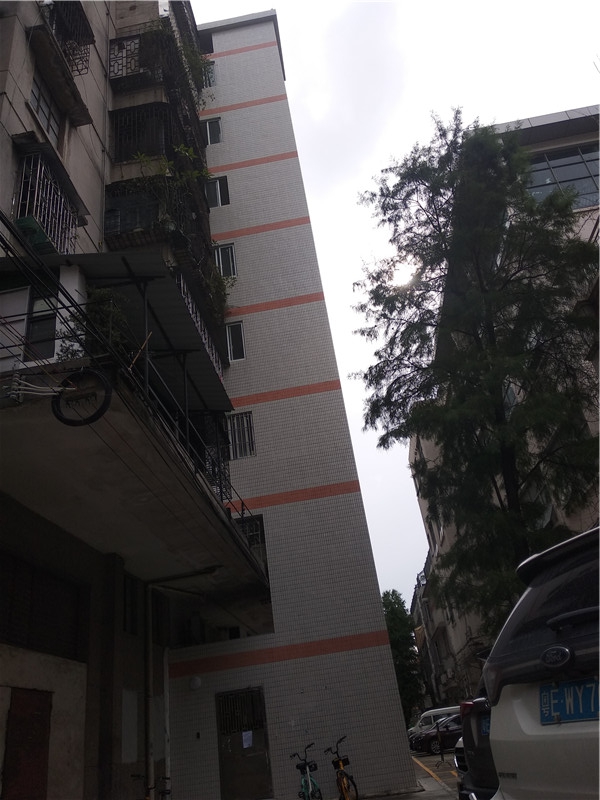 丽锦小区1号