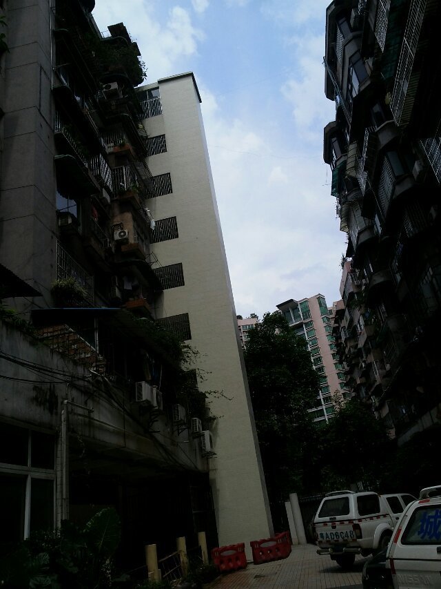 唐园西21号