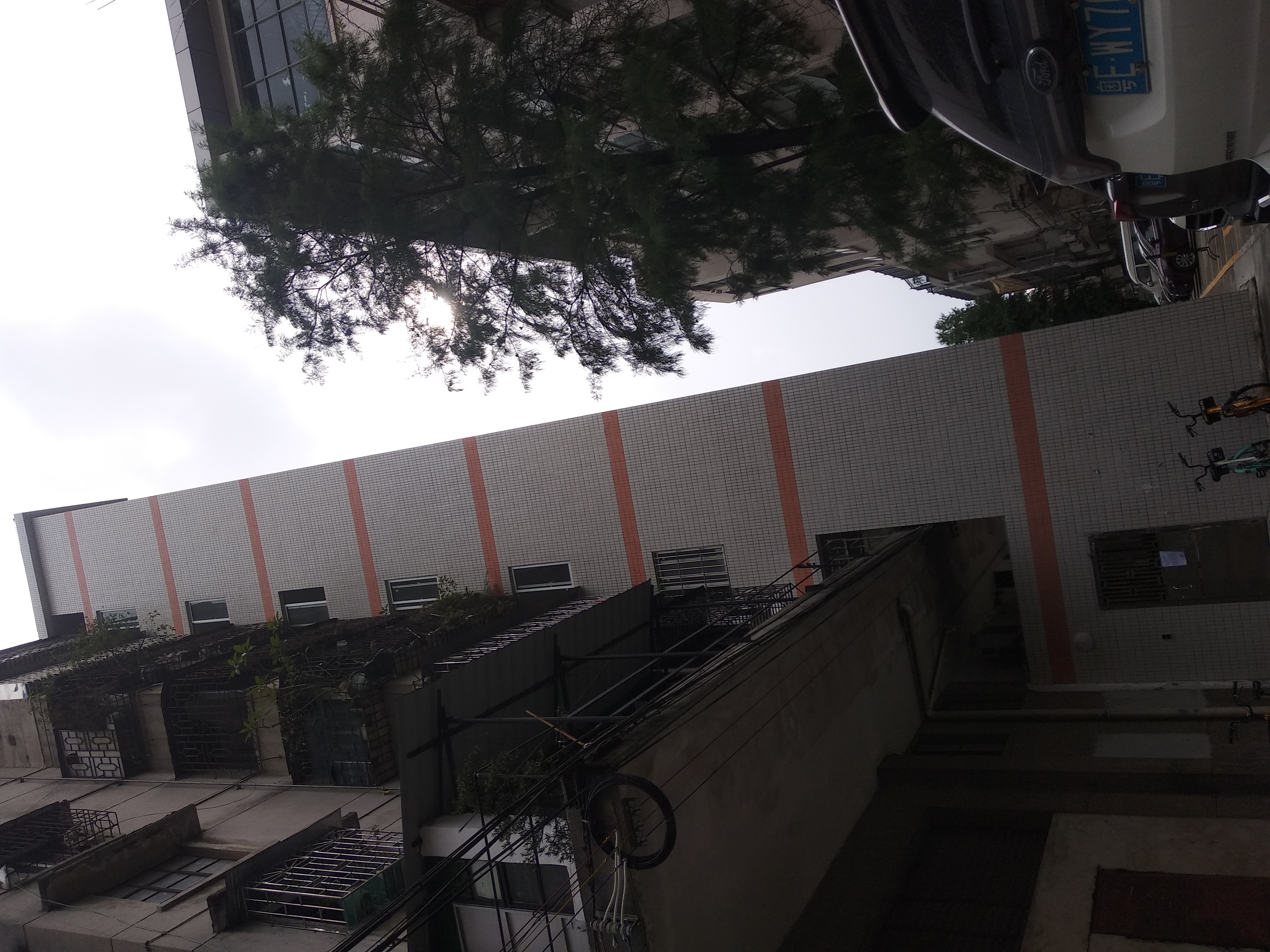 丽锦小区1号