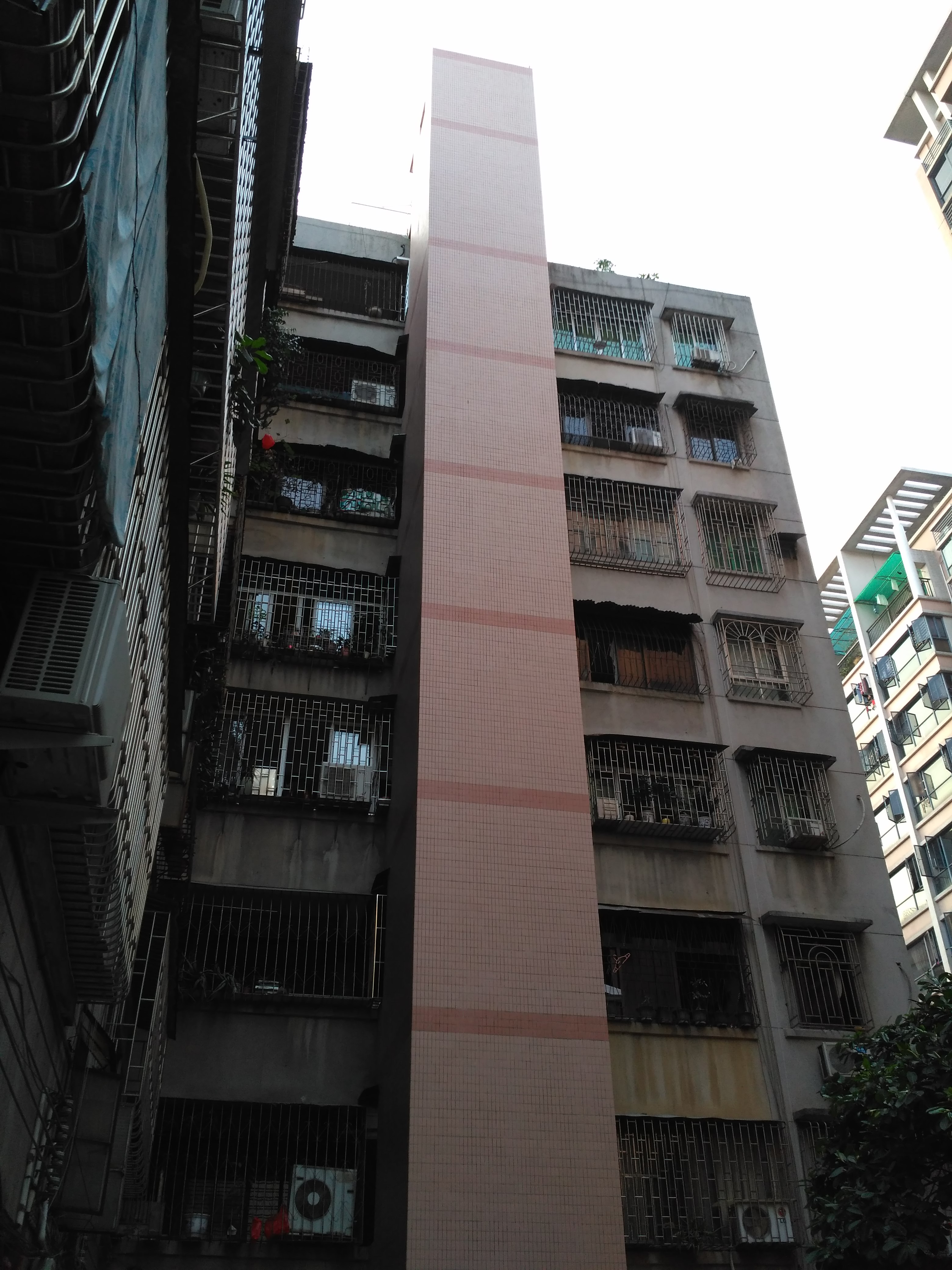 金鱼街91号